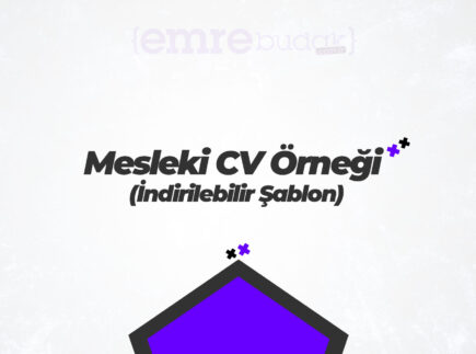 mesleki cv